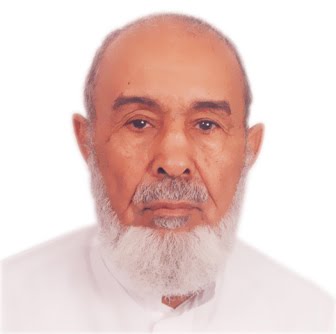 الشيخ محمد الحسين ولد حبيب الله 