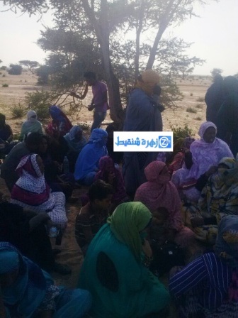 النساء وقت القيلولة تحت أغصان الشجر في منطقة صحراوية علي بعد 20 كلم من بير أم آكرين 