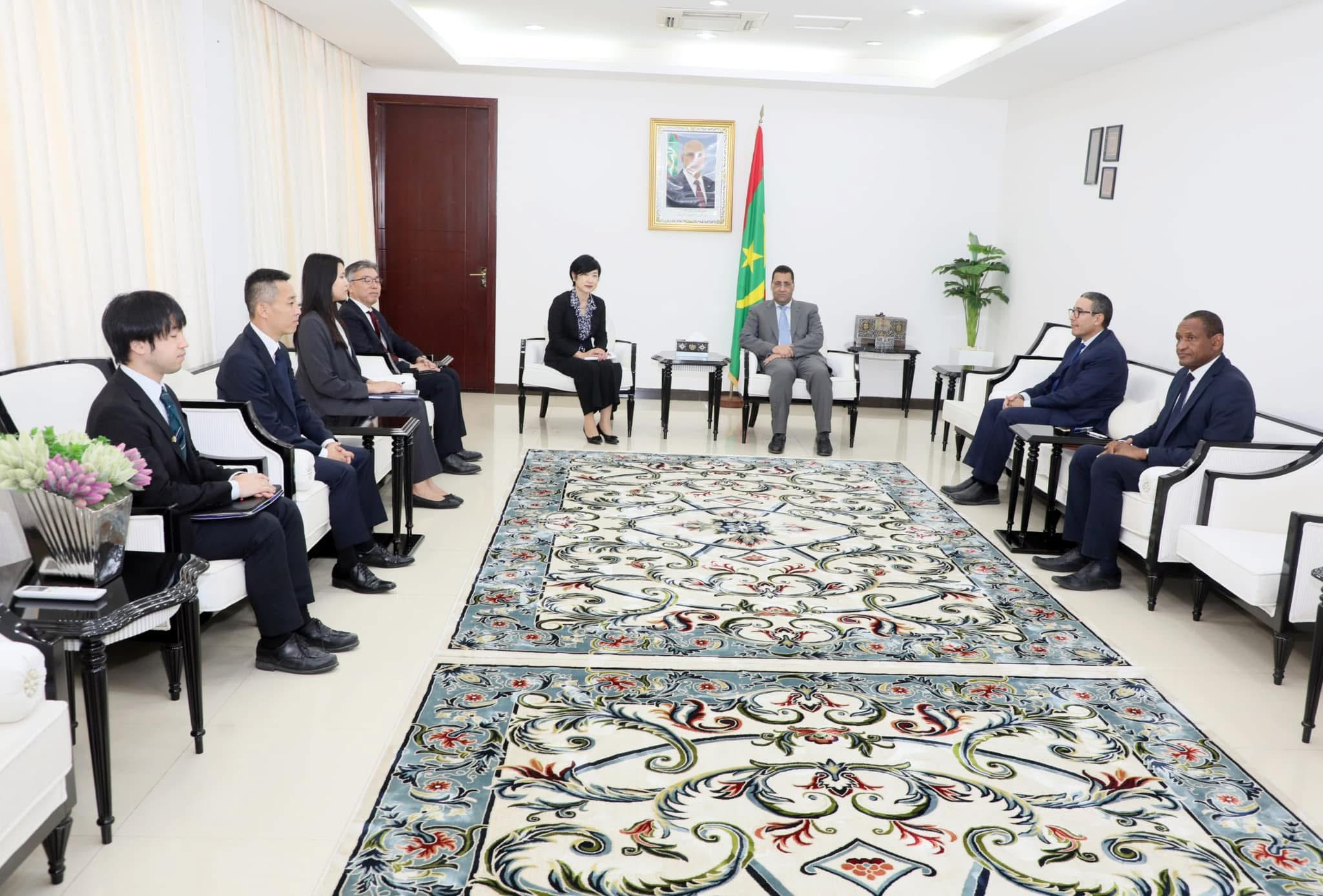 الوزير الأول يستقبل المديرة العامة لإدارة الشؤون الإفريقية بوزارة الخارجية اليابانية