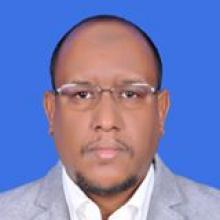 سيد أعمر ولد شيخنا / كاتب موريتاني ومتخصص في العلوم السياسية